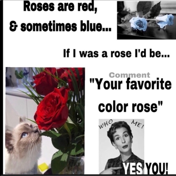 🌹COMMENTS FULL SEE NEW LISTING🌹 - Picture 4 of 8